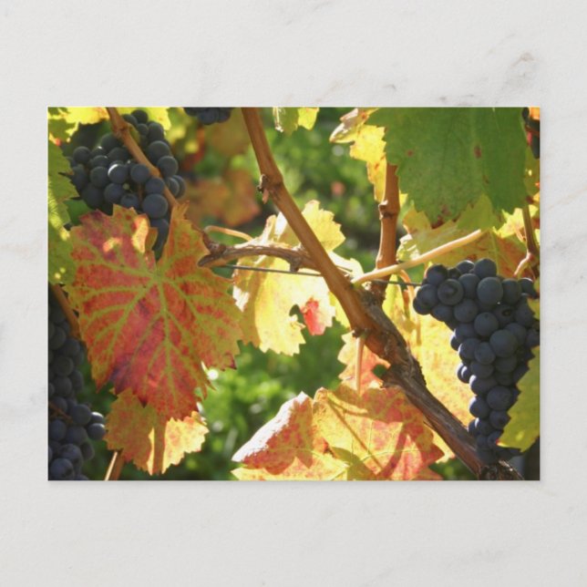 Viajes con postal 65 (Anverso)