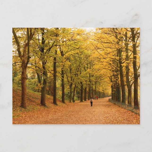 Viajes para recoger la postal 28 (Anverso)