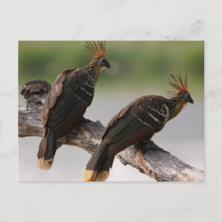 Viajes para recoger postal 10