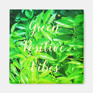 Vibes positivas súper verdes dejan imán
