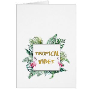Vibes tropicales