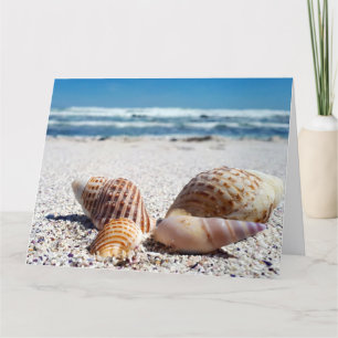 VIBRAIONES CURATIVOS TARJETAS DE BIENVENIDA TROPIC