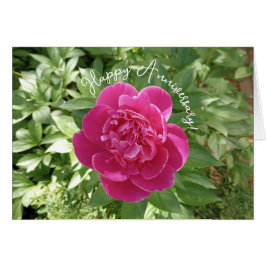 Vibrant Pink Peony Flower Anniversary Card