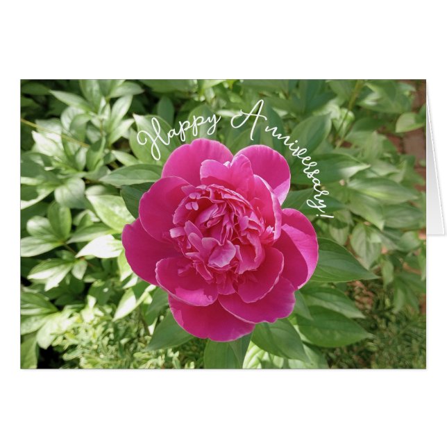 Vibrant Pink Peony Flower Anniversary Card (Anverso (Horizontal))