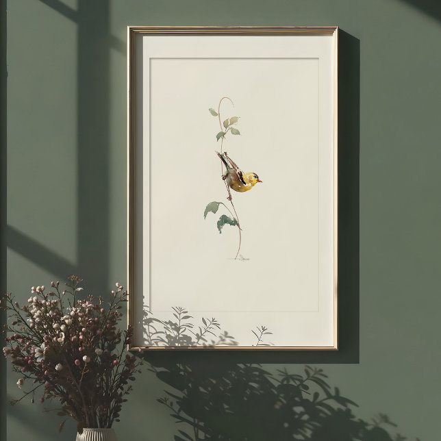 Vibrante arte acuático estadounidense Goldfinch (Subido por el creador)