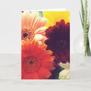 Vibrante Daisy Flower Photo Note o tarjeta de salu