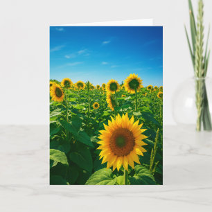 Vibrante Foto de Sunflower Tarjeta de saludo en bl