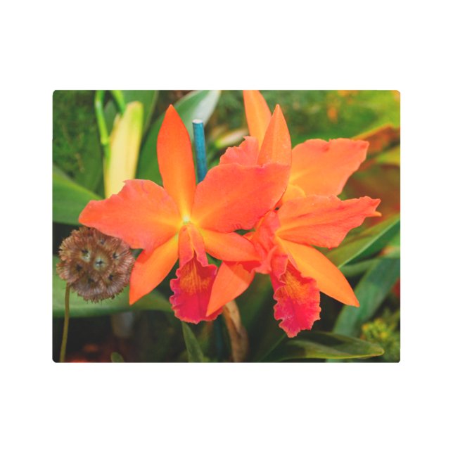 Vibrante Naranja Orchids Arte Metalizado (Anverso)