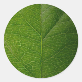 Vibrante Pegatina redonda de hojas verdes - La bel