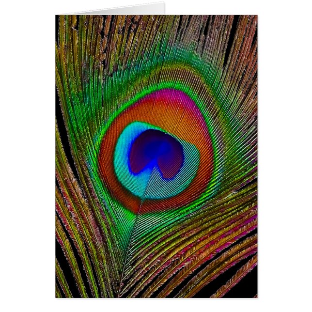 Vibrante pluma de cobre para pavo real (Frente)