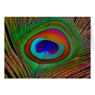 Vibrante pluma de cobre para pavo real