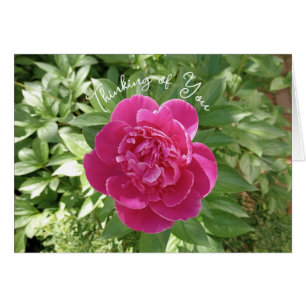 Vibrante reflexión sobre la flor rosada en tu tarj