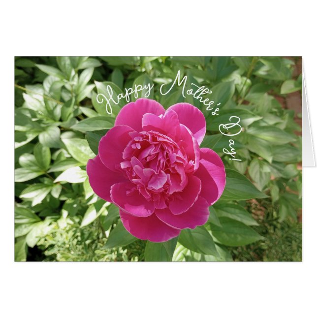 Vibrante tarjeta de Día de la Madre con flores de  (Anverso (Horizontal))