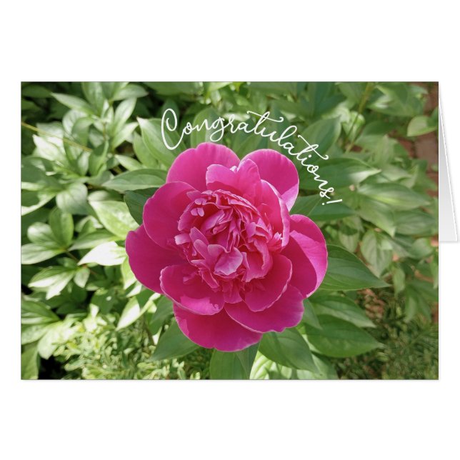 Vibrante tarjeta de felicitaciones a las flores de (Anverso (Horizontal))