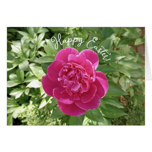 Vibrante tarjeta de Pascua de Flor Rosa Peony (Anverso (Horizontal))