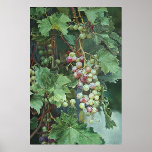Vid de Uva Realista con Hojas – Arte Fino