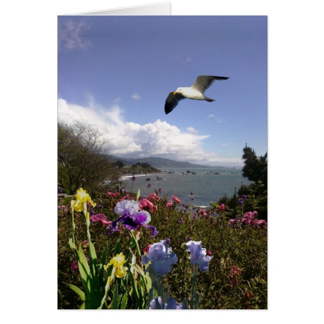 Vida costera (Frente)