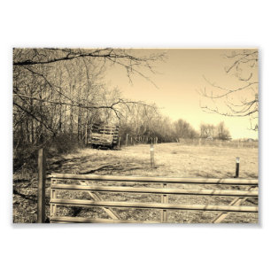 Vida de campo 7x5 Prin de fotografía en blanco y n