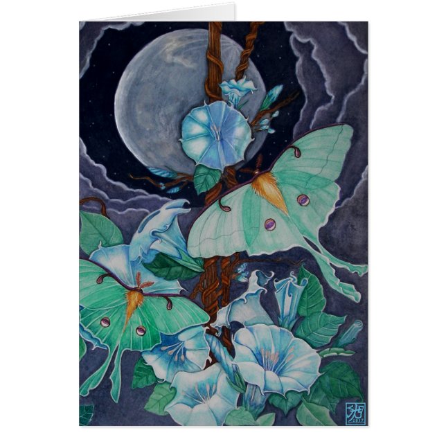 Vida de la luna (Frente)