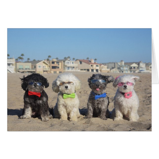 Vida de la playa (Anverso (Horizontal))