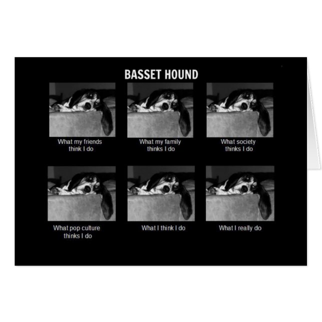Vida de un Basset (Anverso (Horizontal))