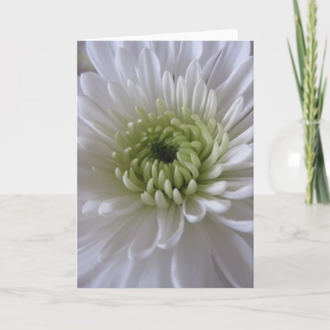 Vida en tarjetas de felicitación de la floración (Anverso)