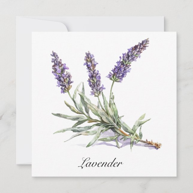 Vida herbal: Lavanda, personalizable (Anverso)