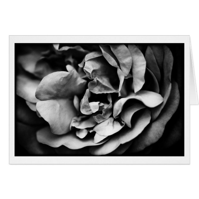 vida interior en desarrollo (Anverso (Horizontal))