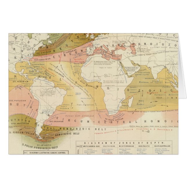 Vida marina (Anverso (Horizontal))