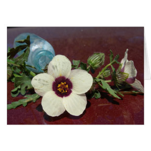 Vida residual de flores silvestres