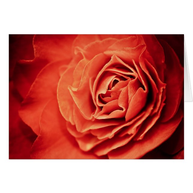 vida romántica (Anverso (Horizontal))