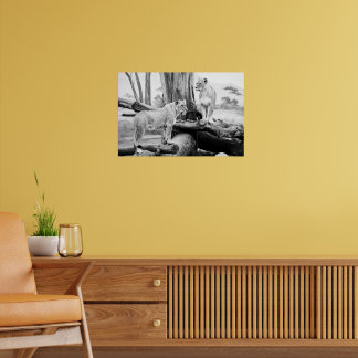 Vida salvaje de la leona Arte fotográfico en blanc