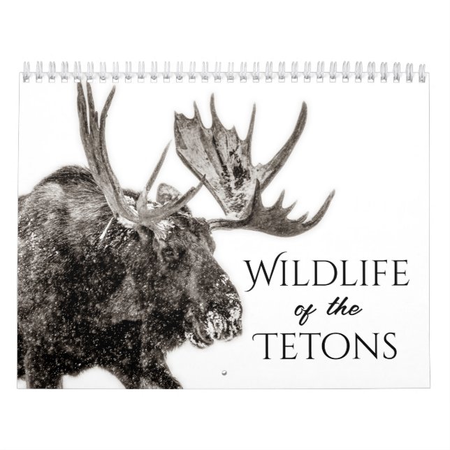 Vida Silvestre Del Calendario De Los Tetones (Tapa)