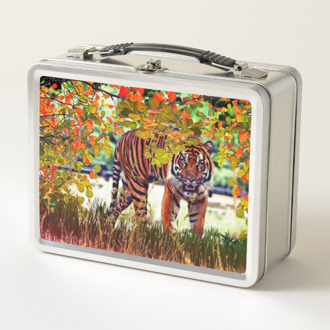Vida silvestre del tigre (Anverso)
