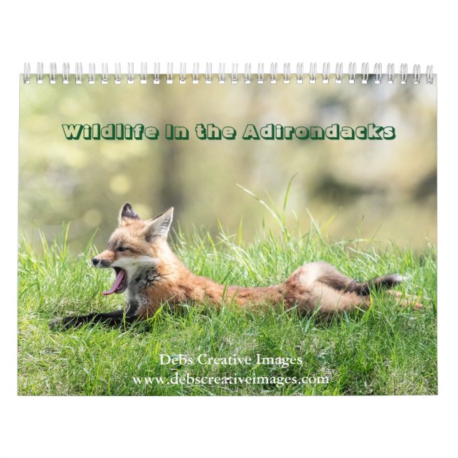 Vida silvestre en el calendario Adirondacks 2026 (Tapa)