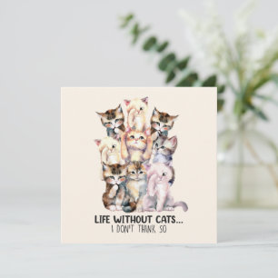 ¿Vida sin gatos? No lo creo