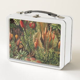 Vida vegetal vintage