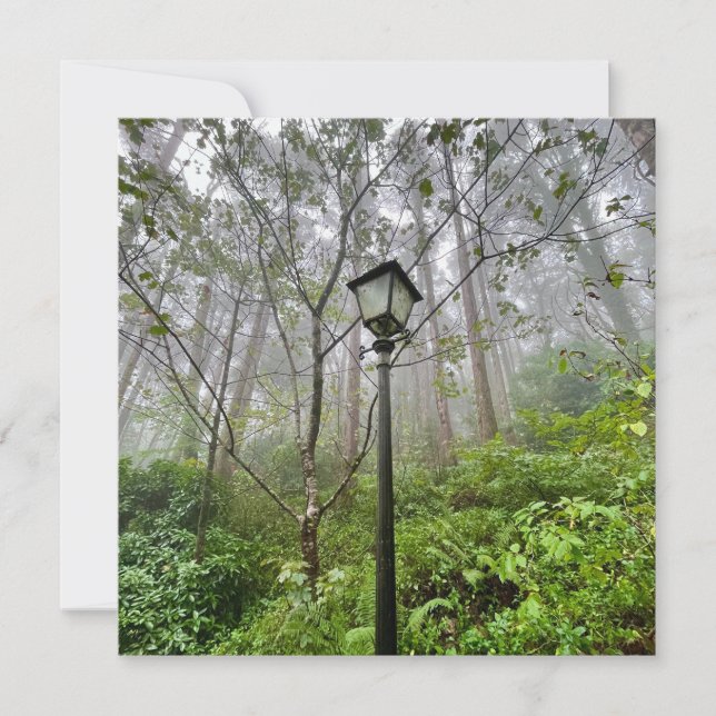 Videos de Portugal (Anverso)