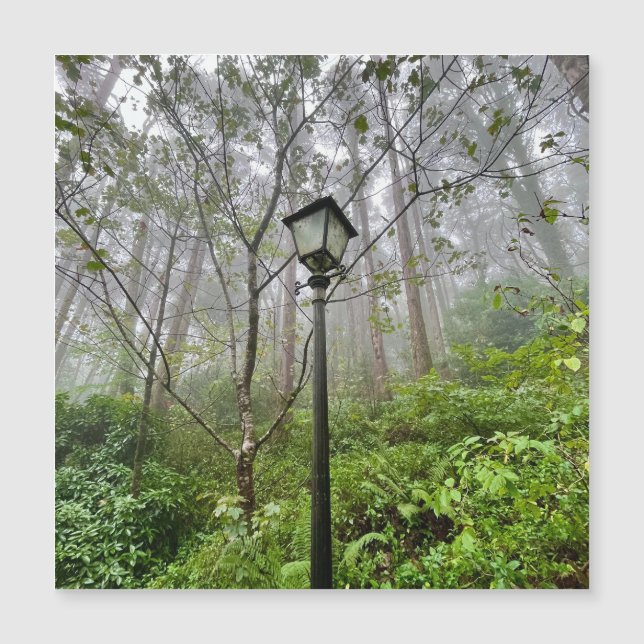 Videos de Portugal (Anverso)