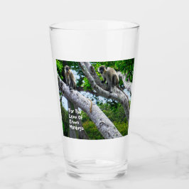 Vidrio de monos verdes de Barbados