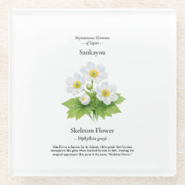 Vidrio Posavasos de Flor de Esqueleto – Diphylleia grayi