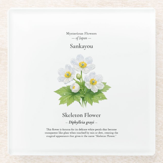 Vidrio Posavasos de Flor de Esqueleto – Diphylleia grayi (Anverso)