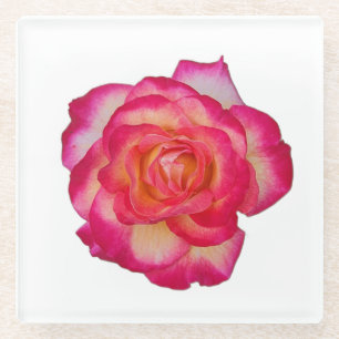Vidrio Posavasos de rosa rosa vibrante