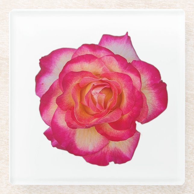 Vidrio Posavasos de rosa rosa vibrante (Anverso)