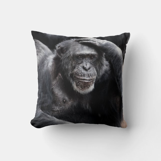 Vieja almohada de tiro chimpancé (Anverso)