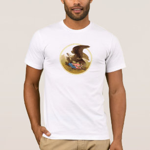 Vieja Camisa de Águila Estadounidense