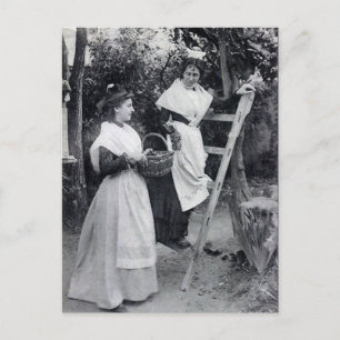 Vieja postal - Arles, Les Arlésiennes