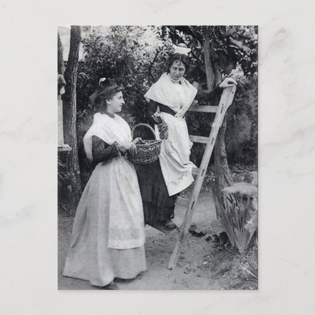 Vieja postal - Arles, Les Arlésiennes (Anverso)