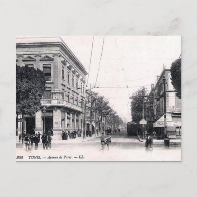 Vieja postal - Avenida de París, Túnez (Anverso)