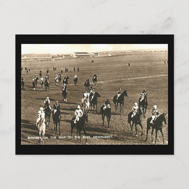 Vieja postal - Caballos de carreras en Newmarket (Anverso)